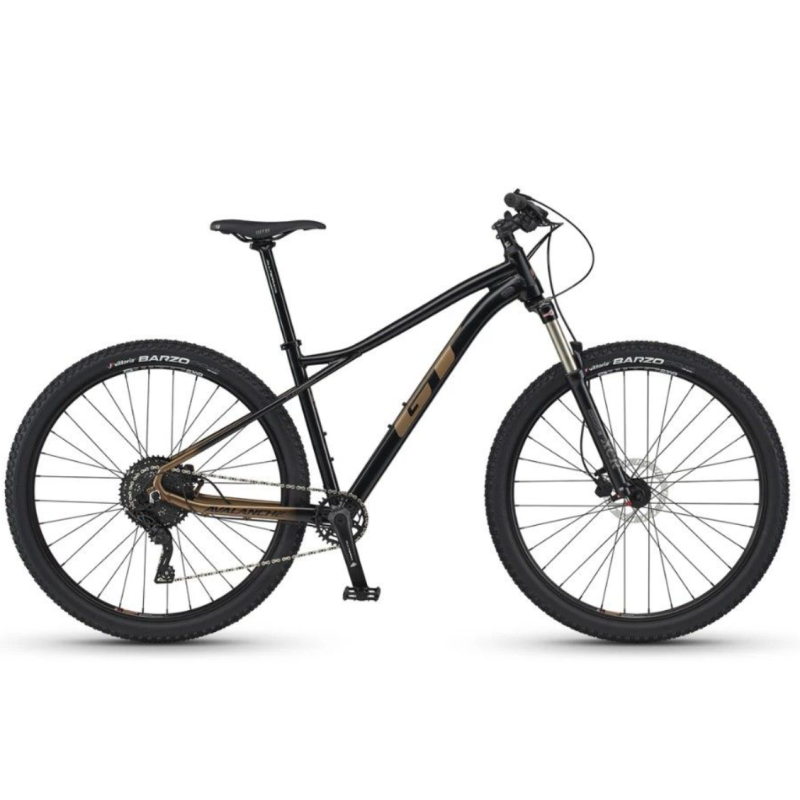 Rock GT Avalanche 29 Elite mountain bike Barbeque